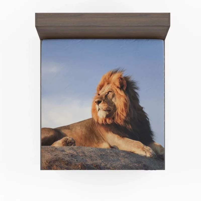 Lion Vibrant Fitted Sheet 1