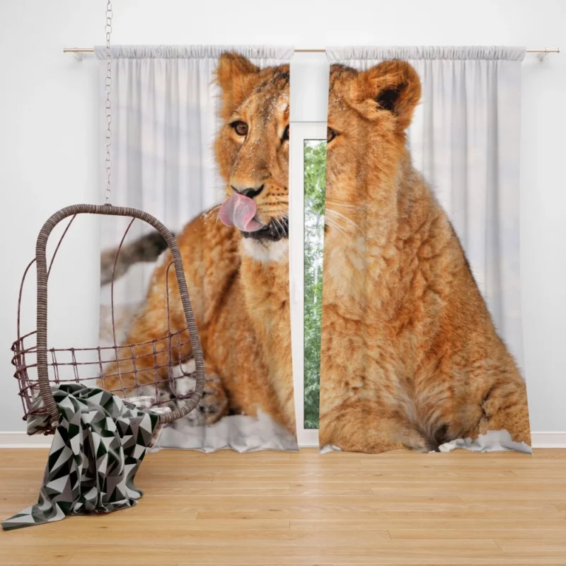 Lion Wild Animal Curtain