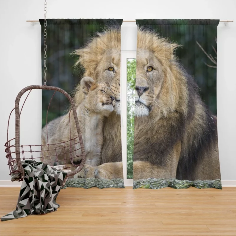 Lion and Cub Majestic Bond Curtain