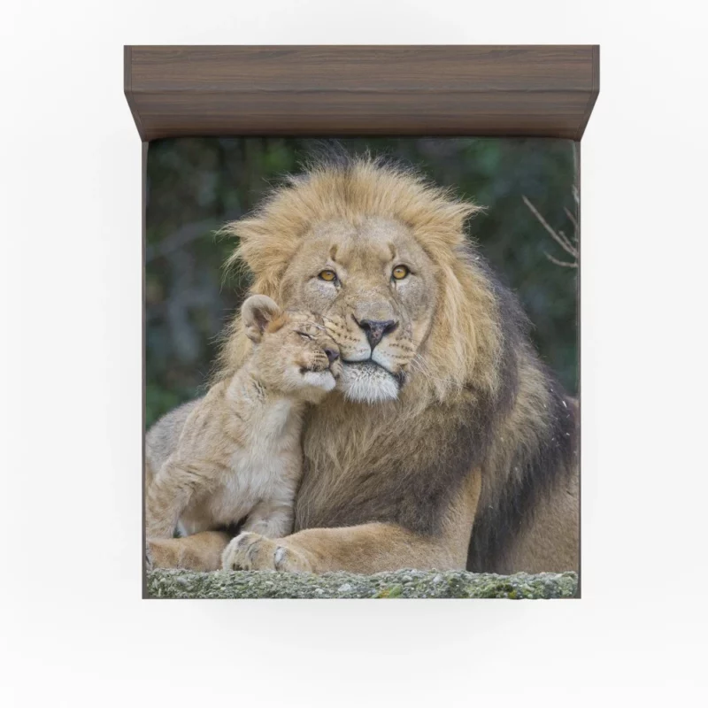 Lion and Cub Majestic Bond Fitted Sheet 1