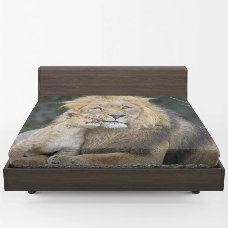 Lion and Cub Majestic Bond Fitted Sheet