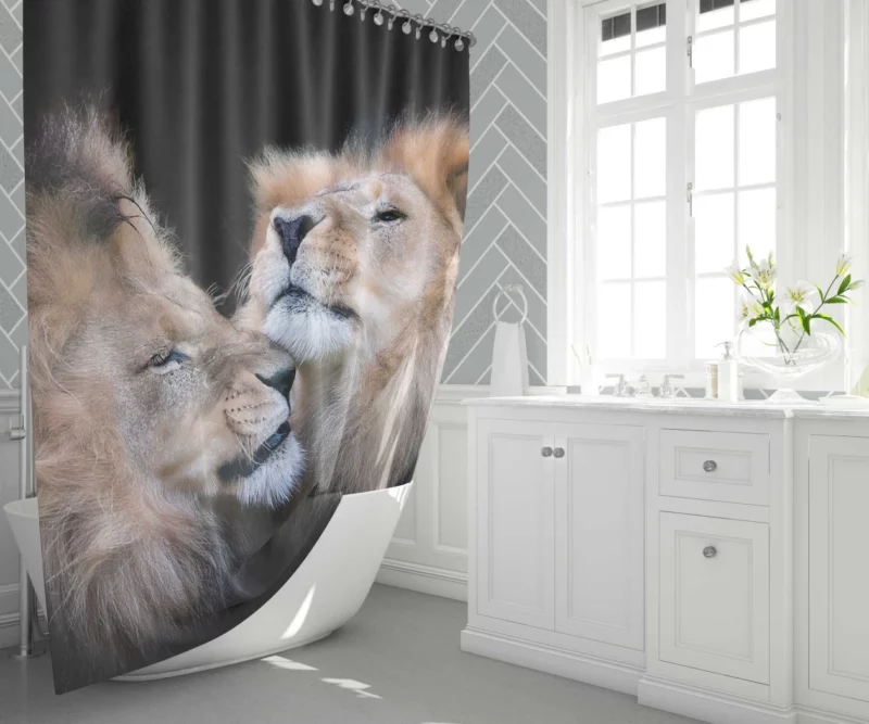 Lion in Golden Light Shower Curtain 1