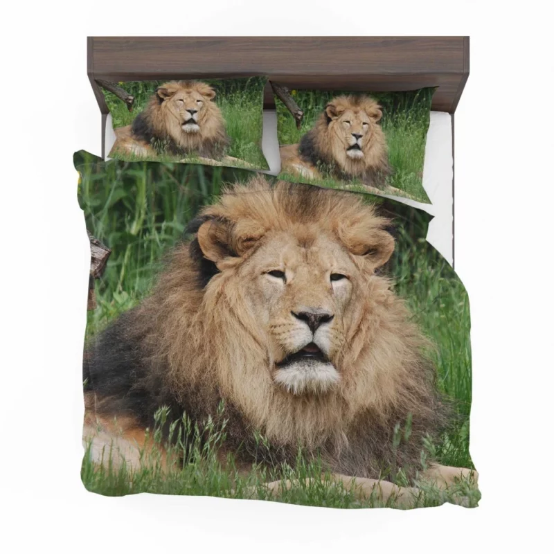 Lion in Grasslands Bedding Set 1