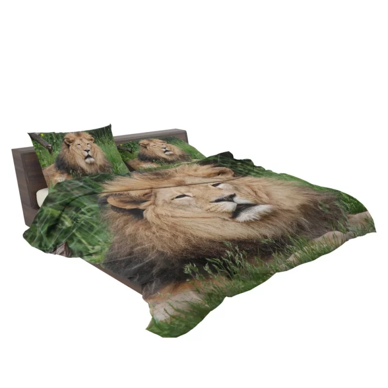 Lion in Grasslands Bedding Set 2