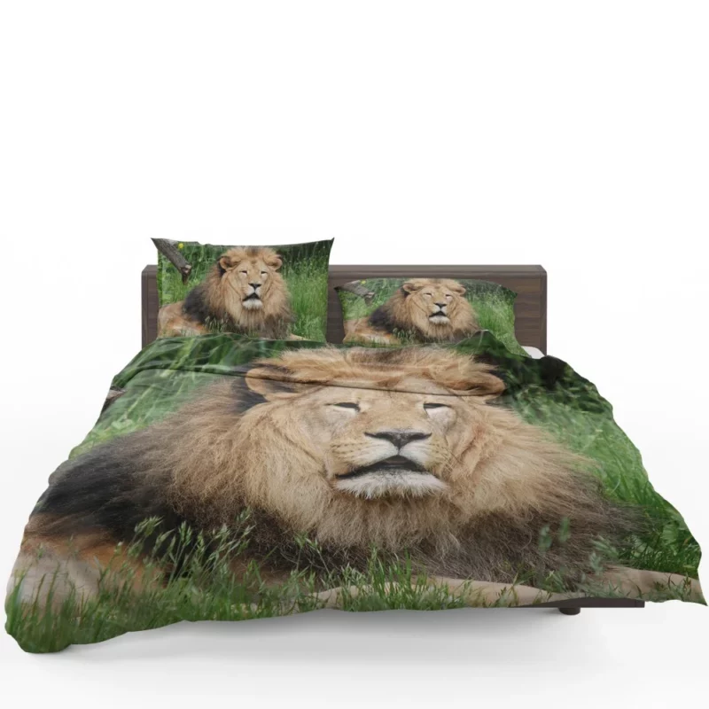 Lion in Grasslands Bedding Set