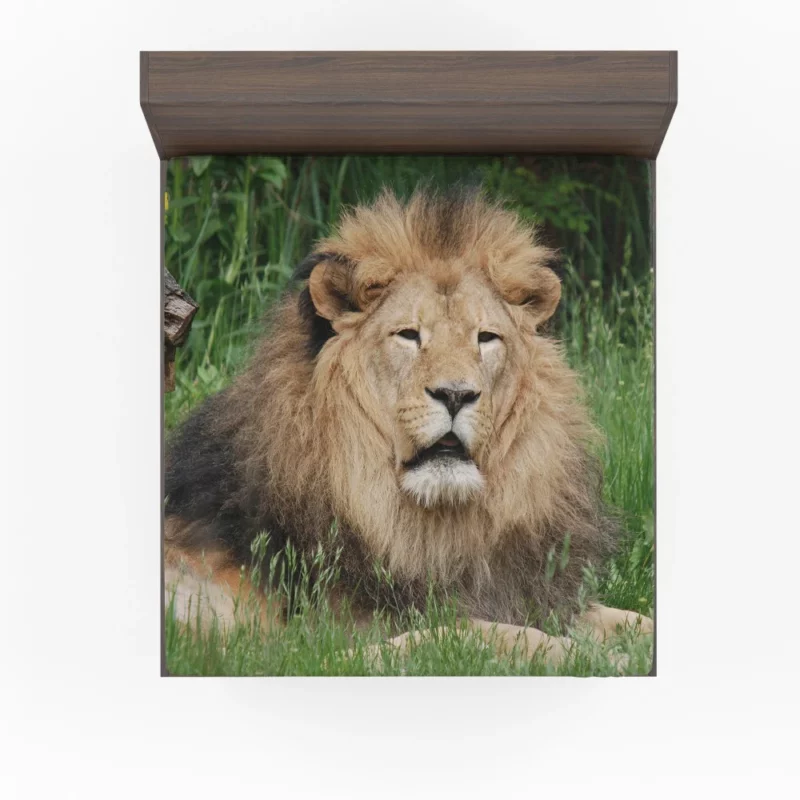 Lion in Grasslands Fitted Sheet 1