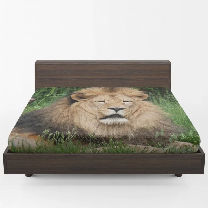 Lion in Grasslands Fitted Sheet