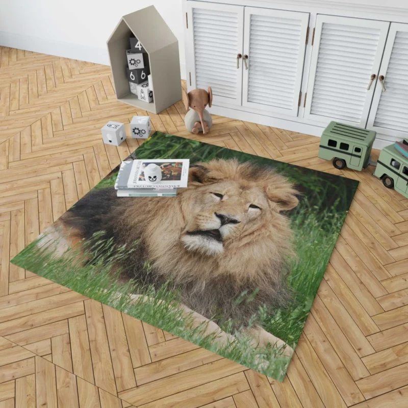 Lion in Grasslands Rug 1