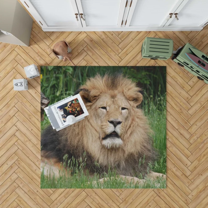 Lion in Grasslands Rug