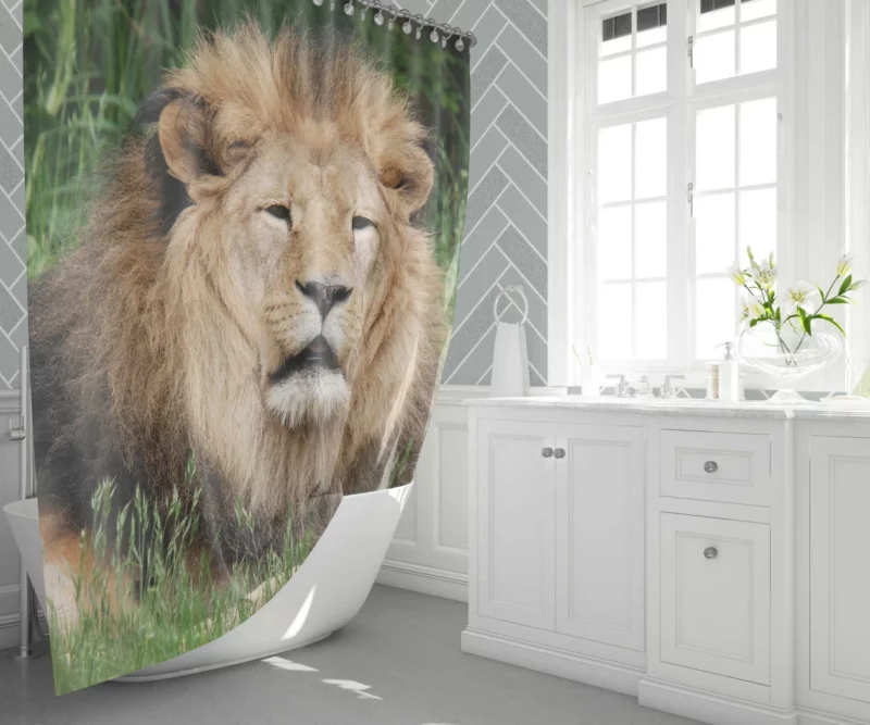 Lion in Grasslands Shower Curtain 1