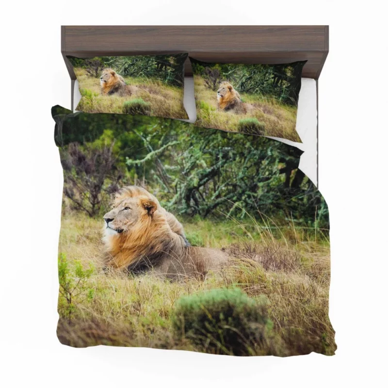 Lion in Natural Habitat Bedding Set 1