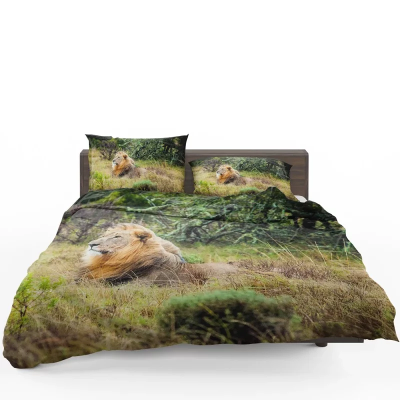 Lion in Natural Habitat Bedding Set