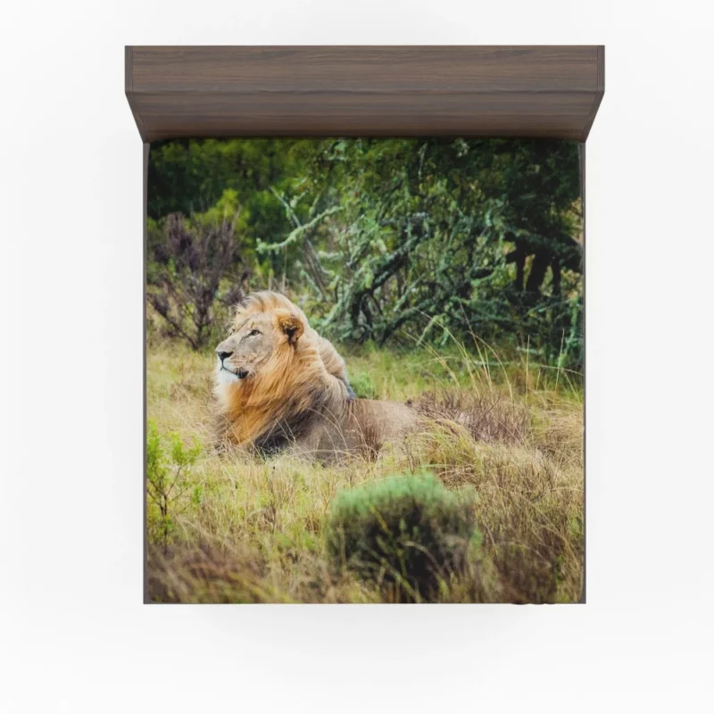 Lion in Natural Habitat Fitted Sheet 1