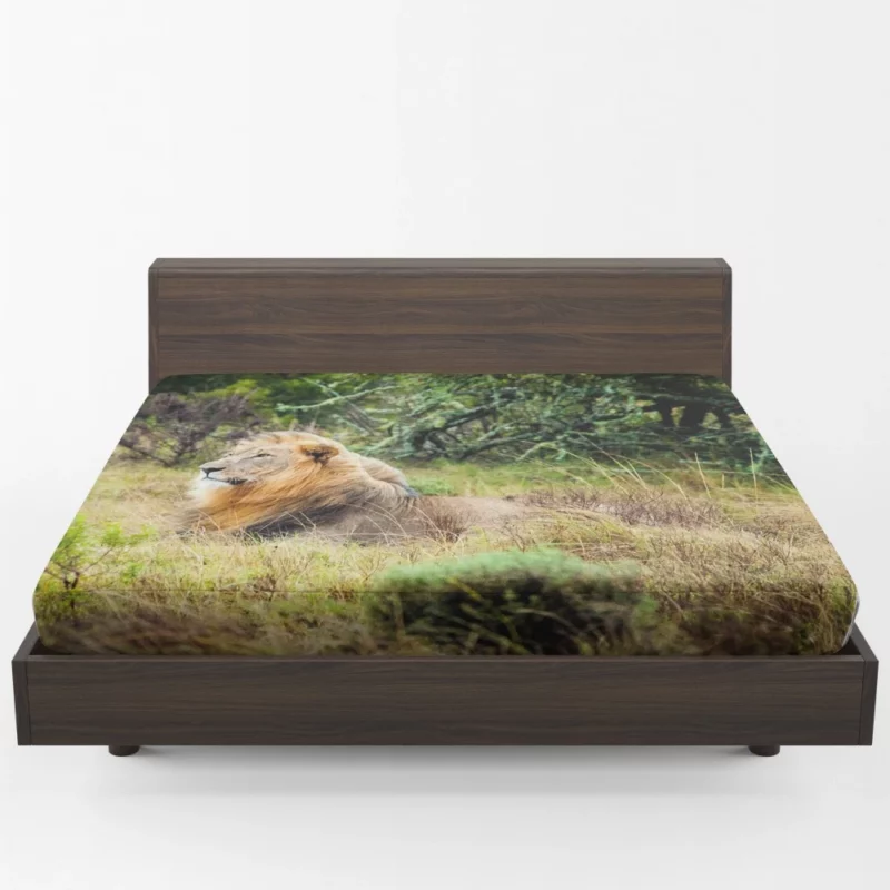 Lion in Natural Habitat Fitted Sheet