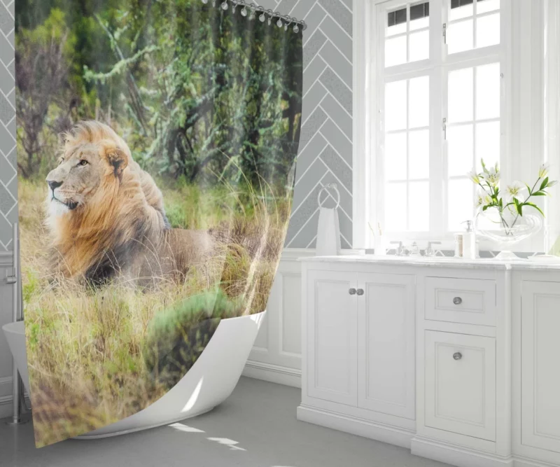 Lion in Natural Habitat Shower Curtain 1