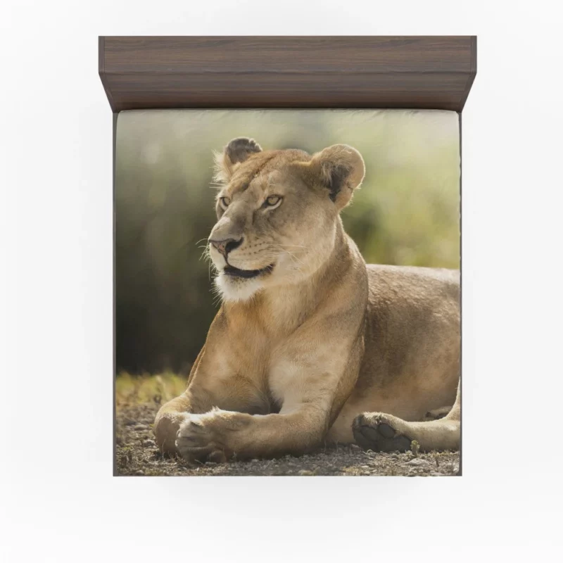 Lioness Grace Regal Wilderness Beauty Fitted Sheet 1