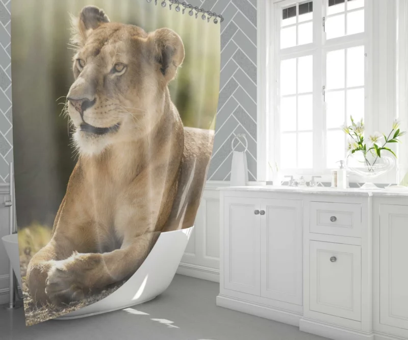 Lioness Grace Regal Wilderness Beauty Shower Curtain 1