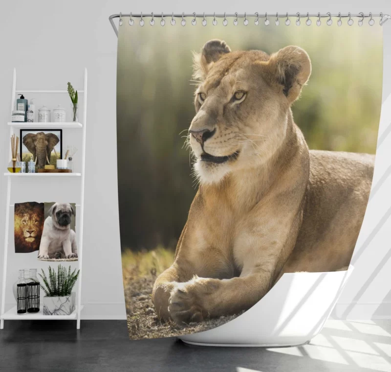 Lioness Grace Regal Wilderness Beauty Shower Curtain