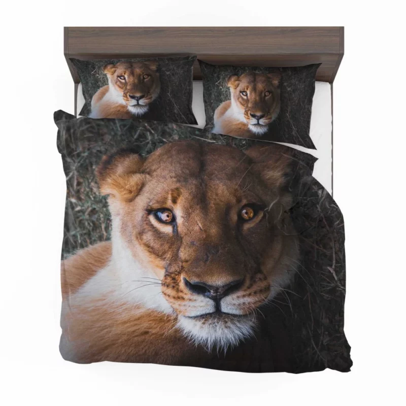 Lioness Intense Gaze Up Close Bedding Set 1