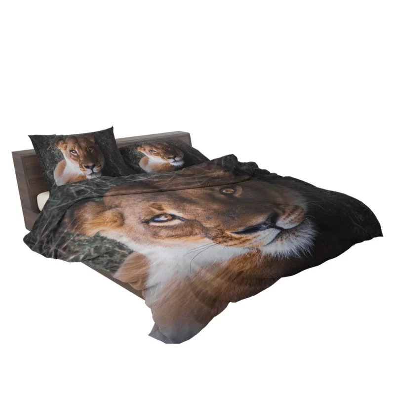 Lioness Intense Gaze Up Close Bedding Set 2