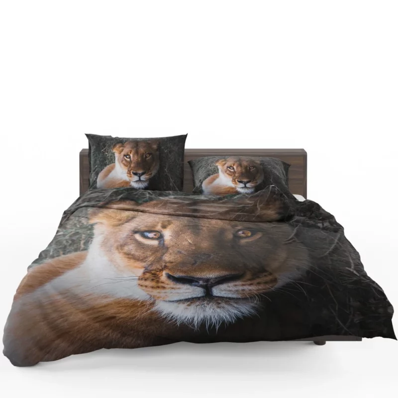 Lioness Intense Gaze Up Close Bedding Set