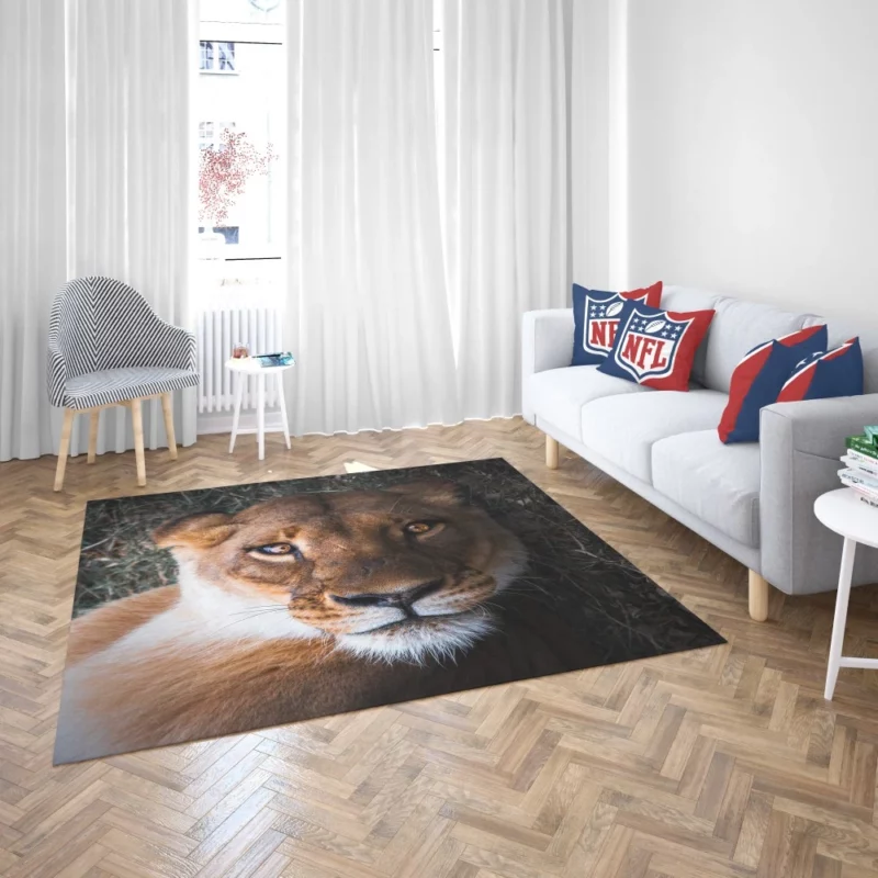 Lioness Intense Gaze Up Close Rug 2