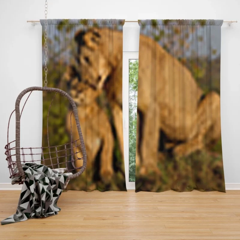 Lioness and Cub Loving Bond Curtain