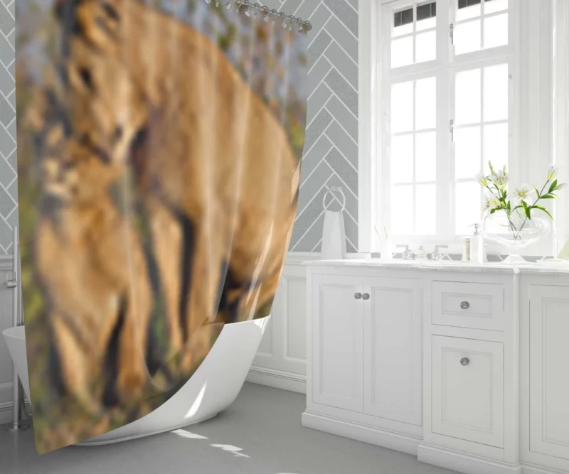 Lioness and Cub Loving Bond Shower Curtain 1