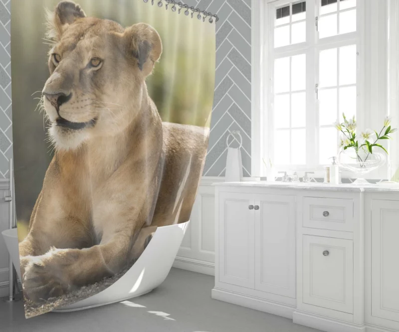 Lioness in the Wild African Essence Shower Curtain 1