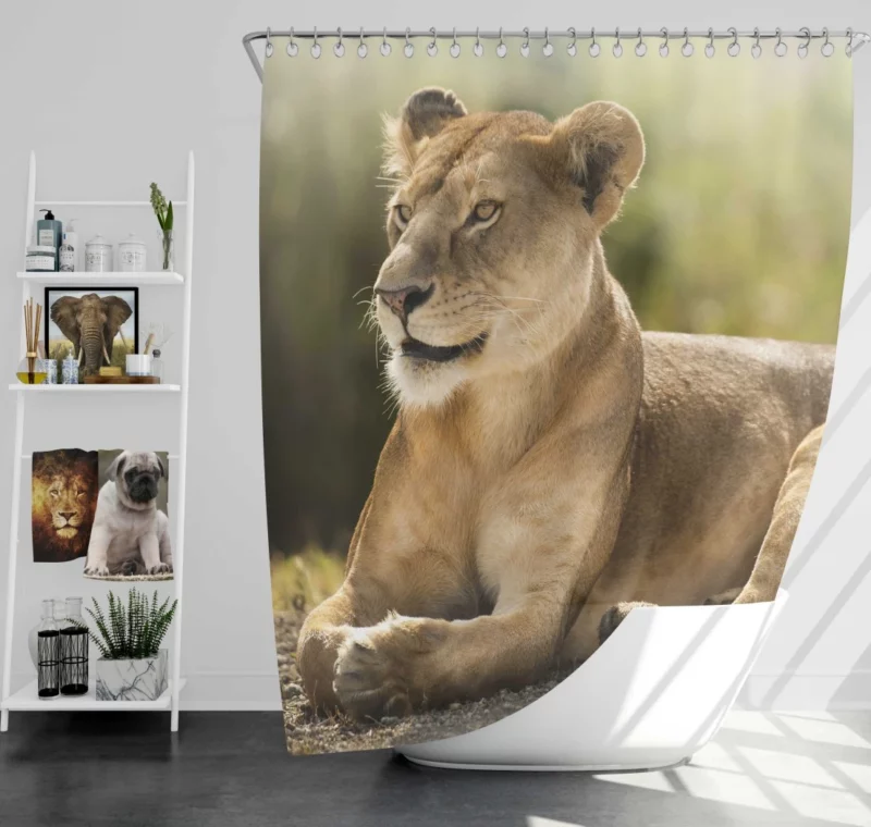 Lioness in the Wild African Essence Shower Curtain