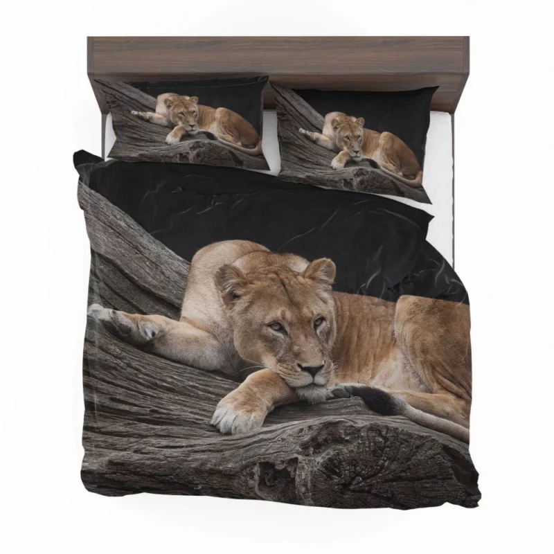 Lioness on Log Nature Majesty Bedding Set 1