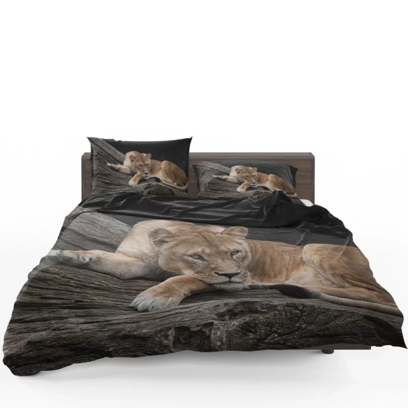 Lioness on Log Nature Majesty Bedding Set