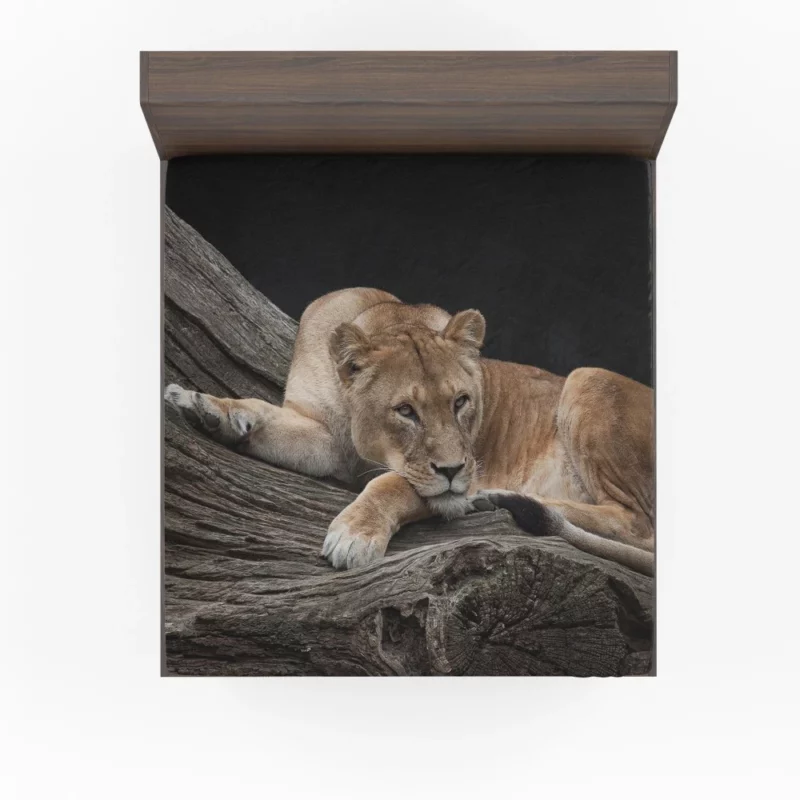 Lioness on Log Nature Majesty Fitted Sheet 1