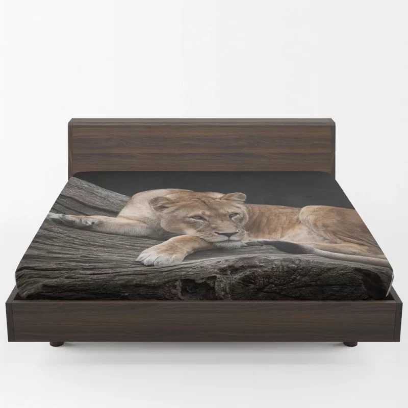 Lioness on Log Nature Majesty Fitted Sheet