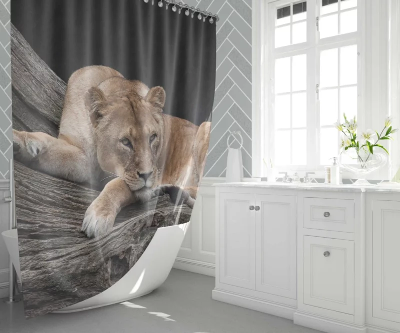 Lioness on Log Nature Majesty Shower Curtain 1