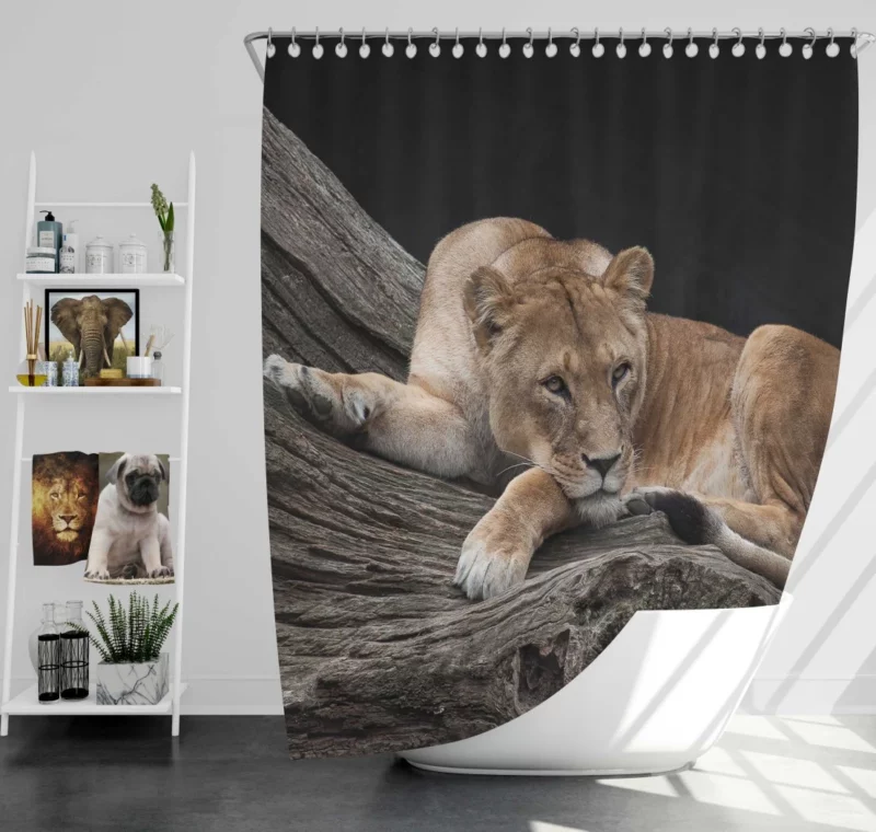 Lioness on Log Nature Majesty Shower Curtain