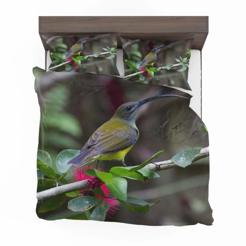 Little Spiderhunter Borneo Adventure Tropical Bird Bedding Set 1