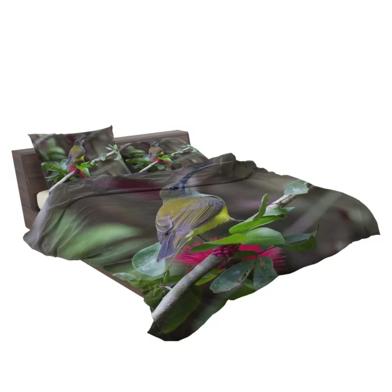 Little Spiderhunter Borneo Adventure Tropical Bird Bedding Set 2