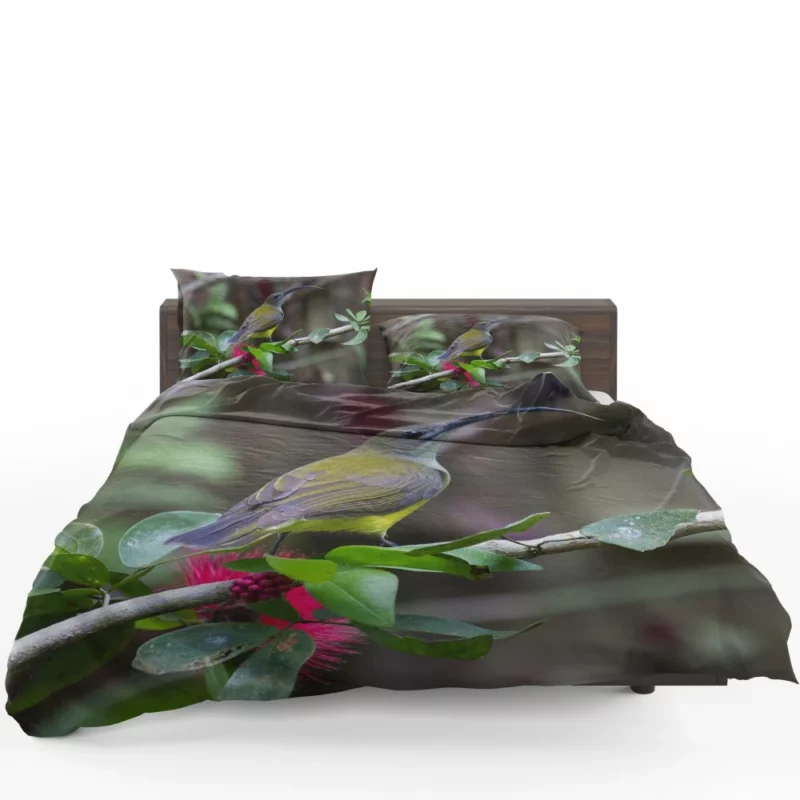 Little Spiderhunter Borneo Adventure Tropical Bird Bedding Set