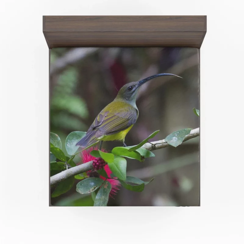 Little Spiderhunter Borneo Adventure Tropical Bird Fitted Sheet 1