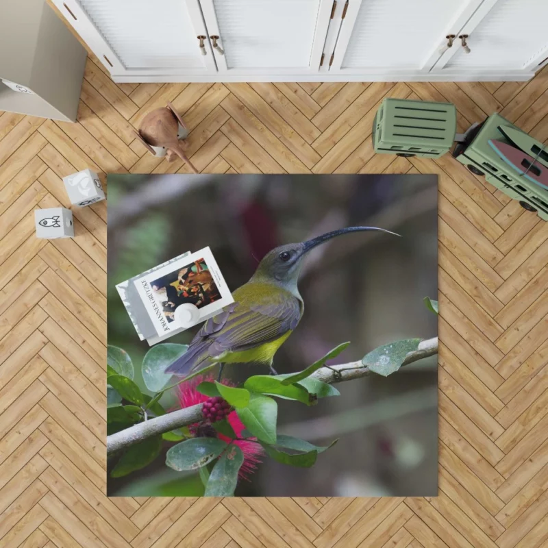 Little Spiderhunter Borneo Adventure Tropical Bird Rug