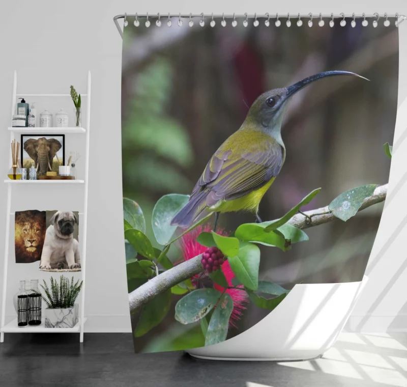 Little Spiderhunter Borneo Adventure Tropical Bird Shower Curtain