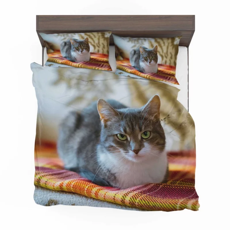 Lizka Playful Whiskers Feline Charm Bedding Set 1