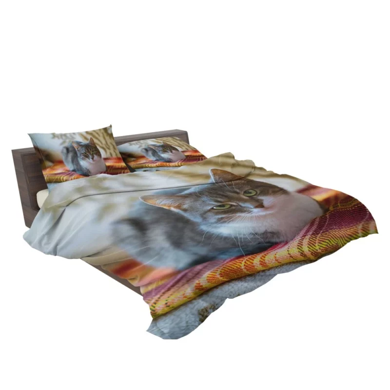 Lizka Playful Whiskers Feline Charm Bedding Set 2