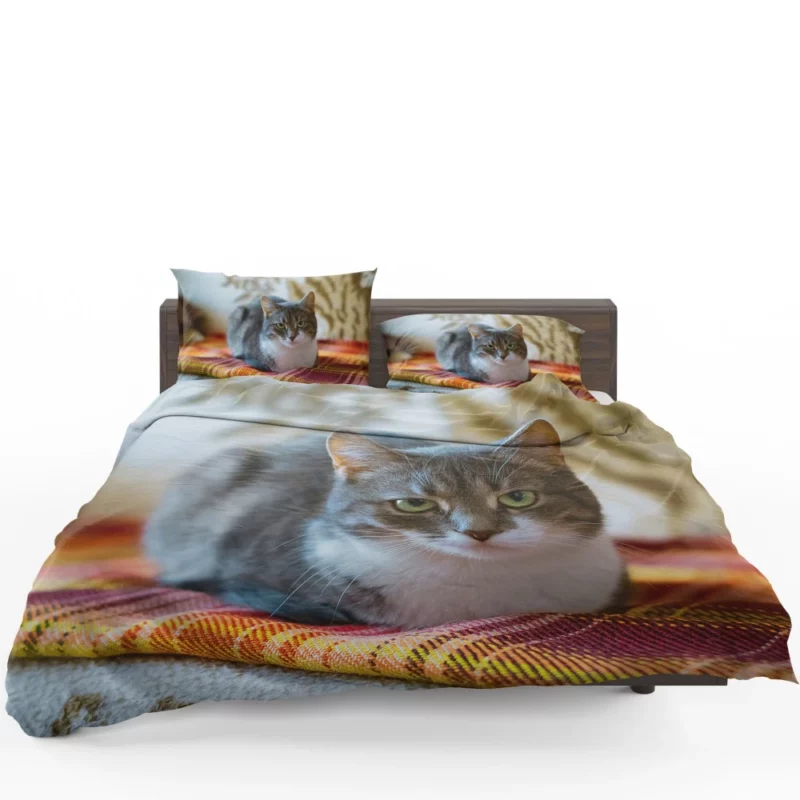 Lizka Playful Whiskers Feline Charm Bedding Set