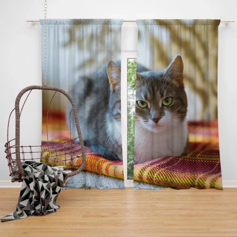 Lizka Playful Whiskers Feline Charm Curtain