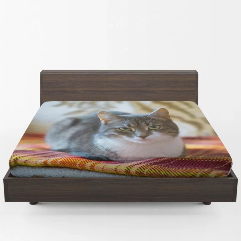 Lizka Playful Whiskers Feline Charm Fitted Sheet