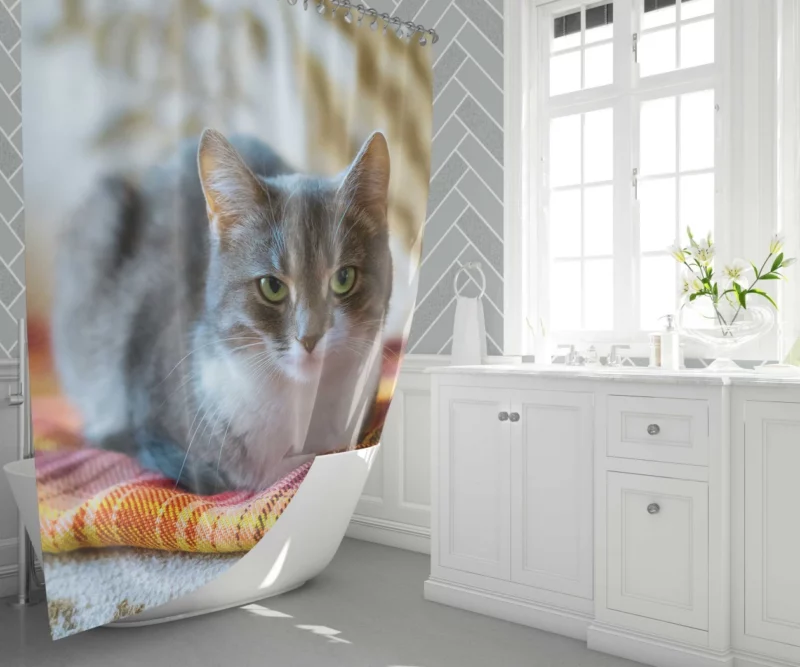 Lizka Playful Whiskers Feline Charm Shower Curtain 1