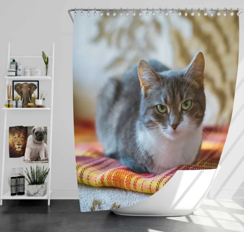 Lizka Playful Whiskers Feline Charm Shower Curtain