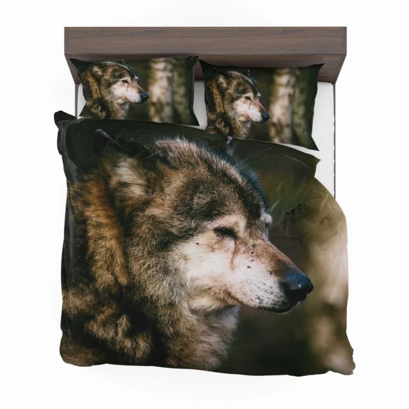 Lone Wolf Gaze Enigmatic Wilderness Bedding Set 1